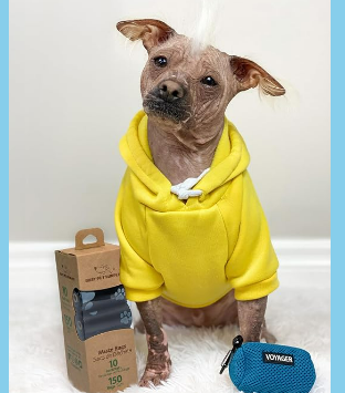 Never Get Caught Without a Bag Again: The Pet-Walk Essential Every Dog Owner Needs