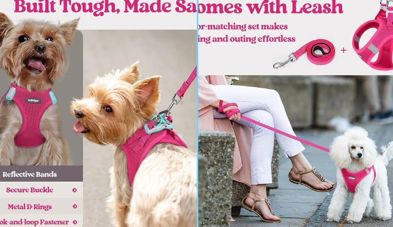Tiny Pup, Big Adventures: The Soft & Breathable Dog Harness Made for Comfortable Everyday Walks
