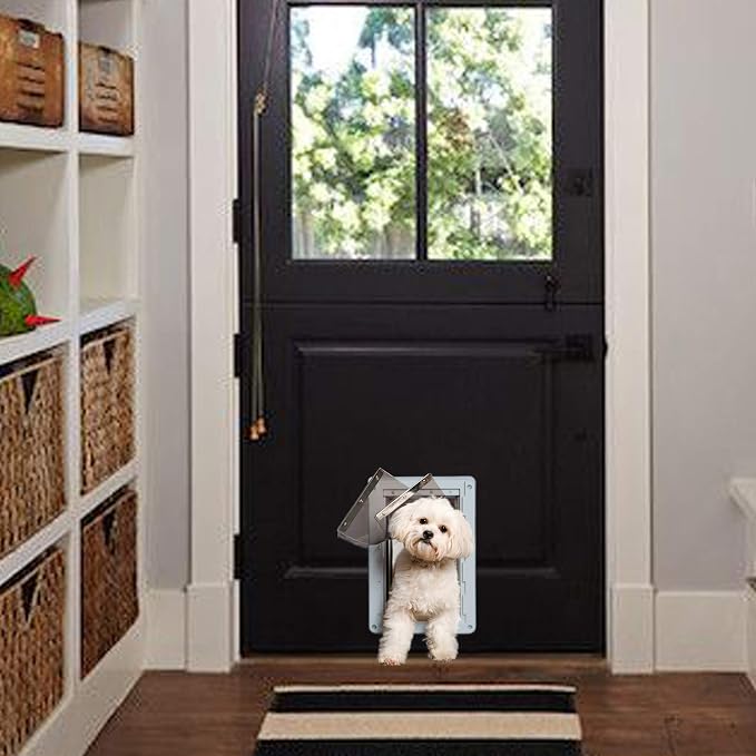 Cat Doors