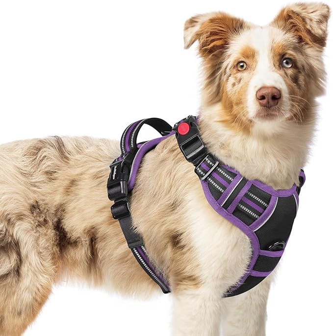 Collars