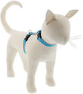 Lupine Reflective Cat and Small Pet H-Style Harness in 1/2" Wide Blue Diamond by LupinePet