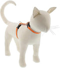 Lupine Reflective Cat and Small Pet H-Style Harness in 1/2" Wide Orange Diamond by LupinePet