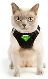 Metal Free Leash Harness Designed - Image 2