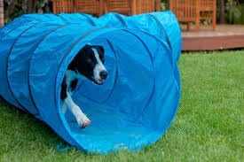 HDP Agility Dog Training Open Tunnel Size:Long 18' - Image 2