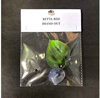 CousDUoBe 2 Pack Betta Fish Leaf Pad Improves Betta's Health by Simulating The - Image 7