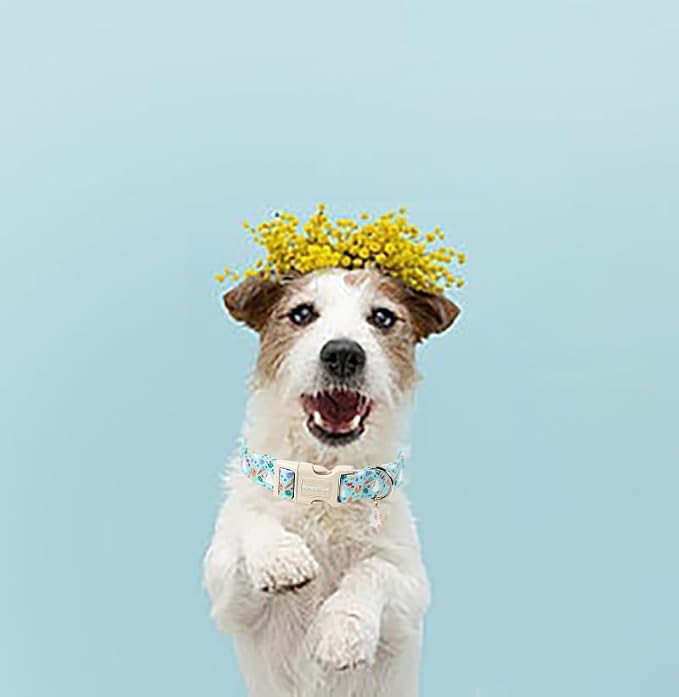 Lionet Paws Easter Dog Collar- Cute White Easter Bunny Blue Dog Collars - Image 4
