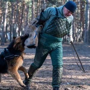 Pssopp Cowhide Dog Agitation Whip, Dog Teaser Wand Dogs Training Whip Outdoor - Image 3