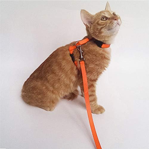 2 Pack Cat Harness and Leash | Adjustable Halter Harness - Image 5