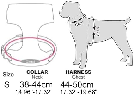 Retractable Leash and Harness for Small Pet, Lightweight, Handsfree Clip Cat - Image 5