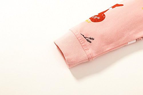 Bumeex Toddler Girl Sweatshirt Clothes Outfit, Cotton Crewneck Christmas - Image 5
