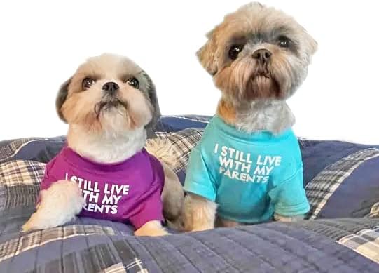 Cute Dog Clothes, T Shirt for Medium and Small Dogs Girl Boy, Puppy.Breathable - Image 6