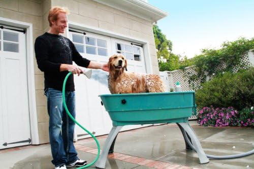 Booster Bath Elevated Pet Bathing, Teal, Large (Pack of 1) - Image 3