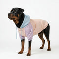 Spark Paws Dog Hoodie – Premium Dog Sweater by SparkPaws