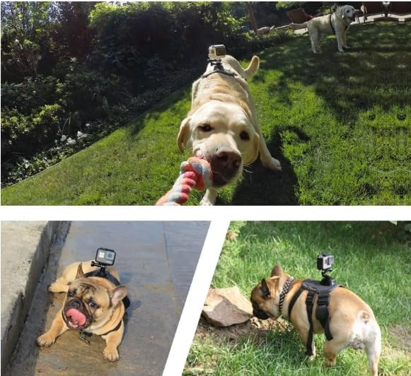 Dog Harness for Gopro, with 2 Mouting Base, Soft Adjustable for Small Medium - Image 7