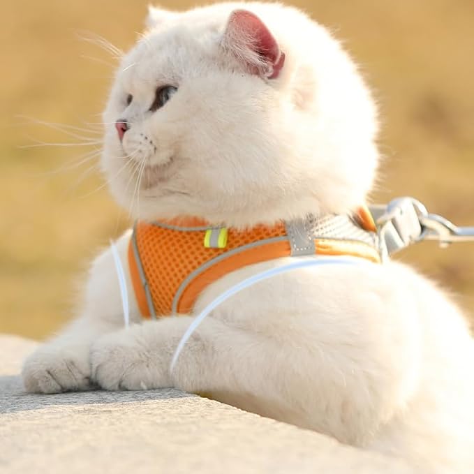 Cat Harness and Leash Set Soft Adjustable Escape Proof Cat Leash Breathable - Image 5