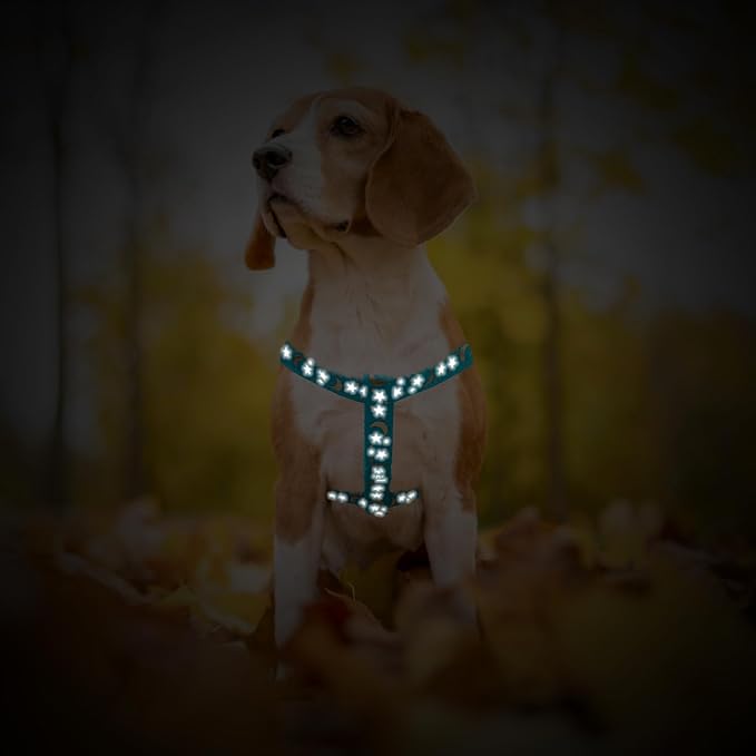 PUPTECK No Pull Dog Harness Soft Adjustable Basic Nylon Step in Puppy Vest - Image 6