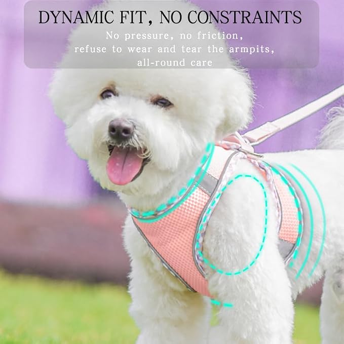 Dog Harness and Leash Set, No Pull Adjustable Reflective Pet Harness, Mesh Dog - Image 3