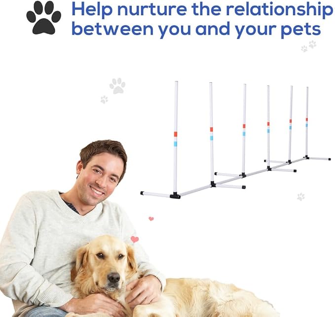 Dog Agility Training Equipment - Image 4