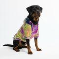 Spark Paws Dog Hoodie – Premium Dog Sweater by SparkPaws