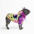 Spark Paws Dog Hoodie – Premium Dog Sweater by SparkPaws