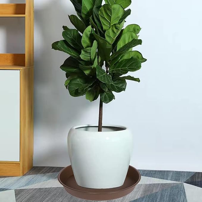 2 Pack of Plant Saucer 19", 2.3" Depth, 18 19 inch Plant Tray Saucer, Plant Dish - Image 4