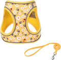 Step in Dog Harness and Leash Set, Flower Adjustable Easy Walk Puppy Harnesses by Flymind