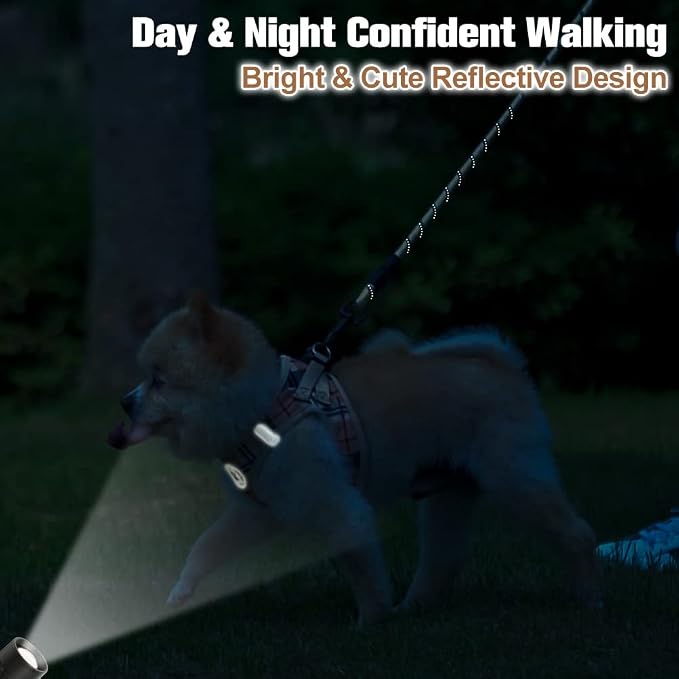 BEAUTYZOO Small Dog Harness and Leash Set, Step in No Choke No Pull Soft Mesh - Image 7