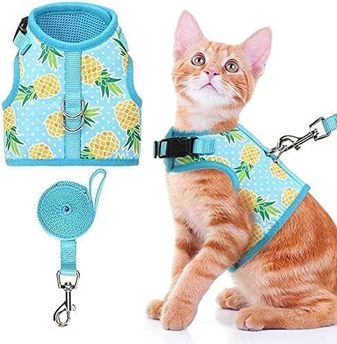 BINGPET Cat Harness with Leash Escape Proof by BINGPET