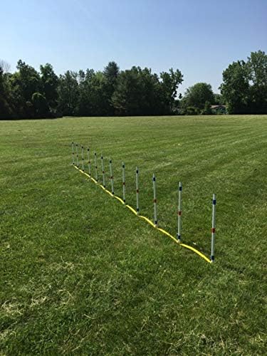 The Dog Agility Shop Set of 12 Weave Poles, Dog Agility Training Equipment - Image 3