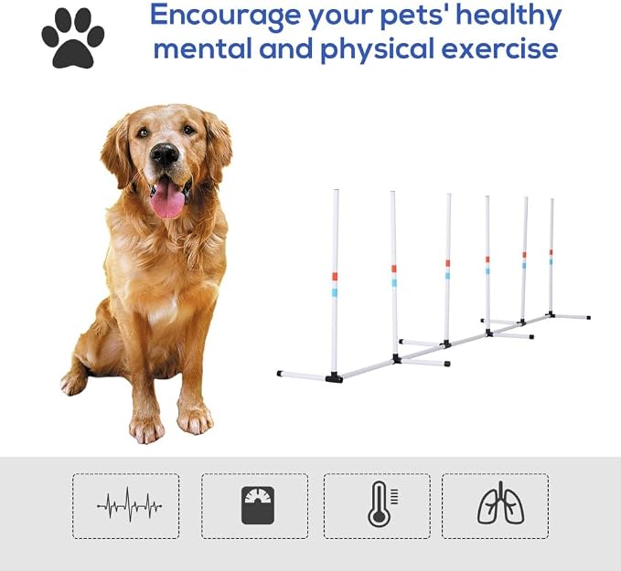 Dog Agility Training Equipment - Image 3