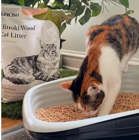 KOCHO Hinoki Wood Cat Litter Ultra Lightweight, Fresh Scent of Japanese Cypress) - Image 4