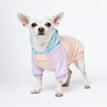 Spark Paws Dog Hoodie – Premium Dog Sweater by SparkPaws