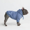 Spark Paws Dog Hoodie – Premium Dog Sweater by SparkPaws