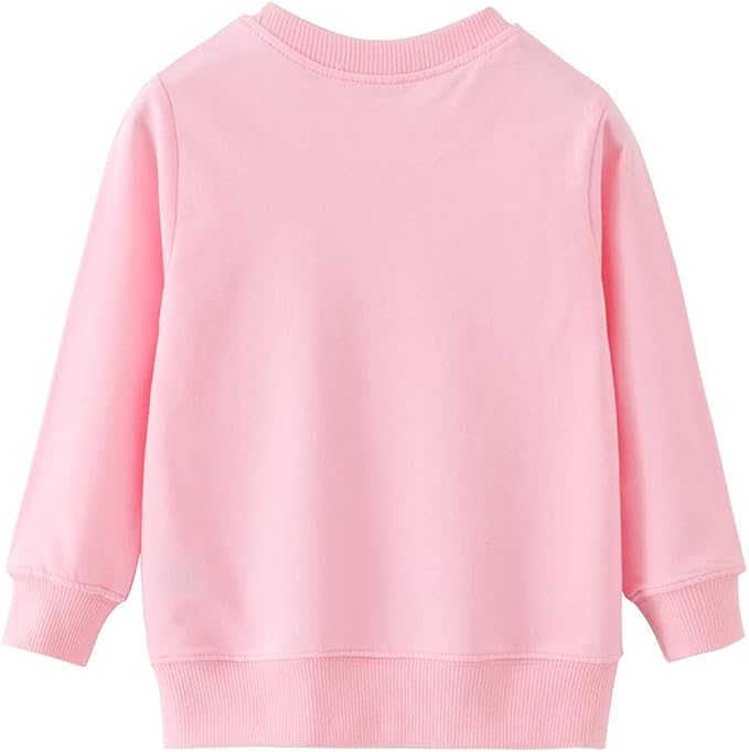 RETSUGO Toddler Baby Girls Sweatshirts Casual Pullover Crewneck Winter Long - Image 2