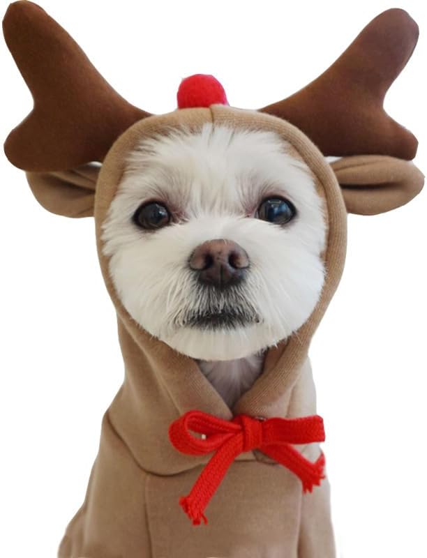 Dog Hoodies Cat Clothes Autumn Winter Sweatshirts Teddy Bulldog Bulldog - Image 5