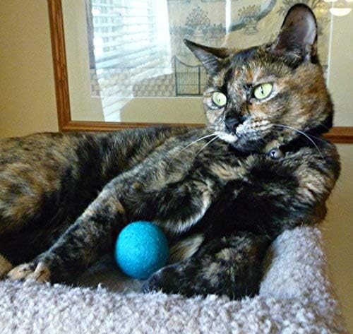 Wool Cat Toy - Felted Wool Rainbow Squid Fish Wand Toy Plus 2 Felt Ball Toys - Image 3