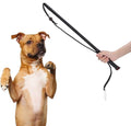 Pssopp Cowhide Dog Agitation Whip, Dog Teaser Wand Dogs Training Whip Outdoor by Pssopp