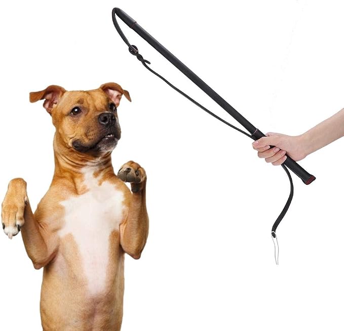 Pssopp Cowhide Dog Agitation Whip, Dog Teaser Wand Dogs Training Whip Outdoor by Pssopp
