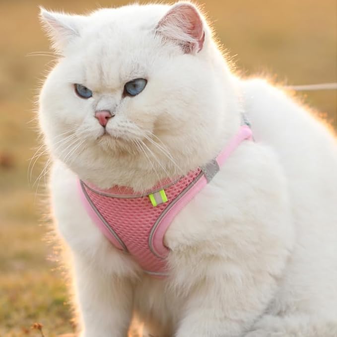 Cat Harness and Leash Set Soft Adjustable Escape Proof Cat Leash Breathable - Image 5