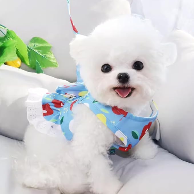 Daisy Floral Dog Harness and Leash Set - Image 3