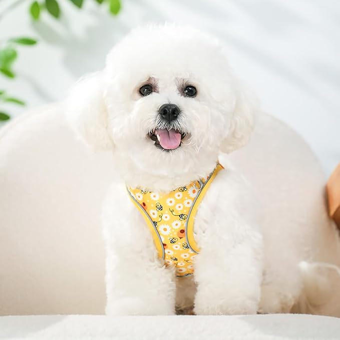 Step in Dog Harness and Leash Set, Flower Adjustable Easy Walk Puppy Harnesses - Image 6