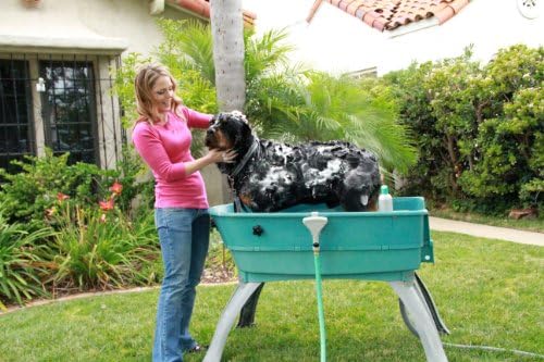 Booster Bath Elevated Pet Bathing, Teal, Large (Pack of 1) - Image 4