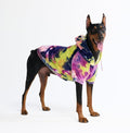 Spark Paws Dog Hoodie – Premium Dog Sweater by SparkPaws