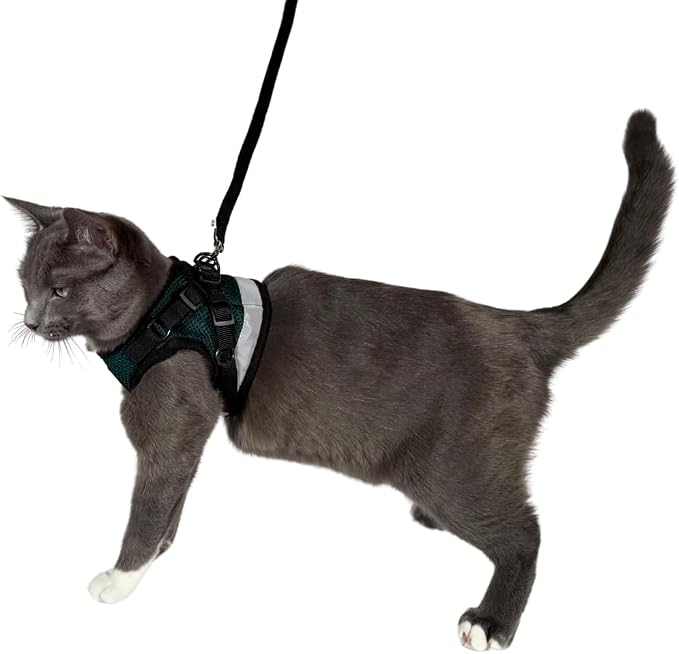 Travel Cat The Emerald Explorer Limited Edition Green Harness and Leash Set - Image 7