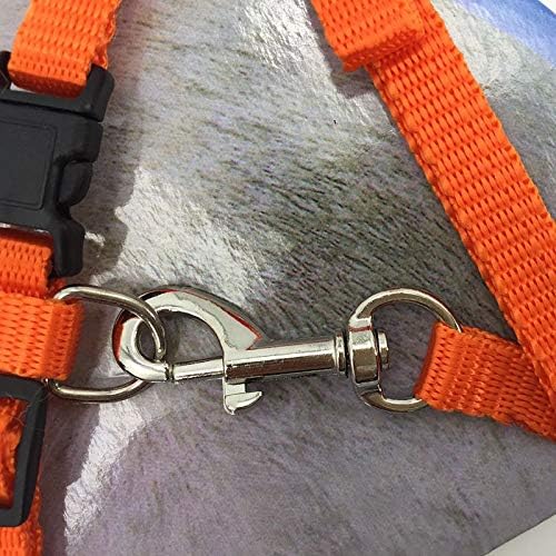 2 Pack Cat Harness and Leash | Adjustable Halter Harness - Image 3