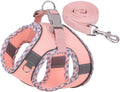 Dog Harness and Leash Set, No Pull Adjustable Reflective Pet Harness, Mesh Dog by Flymind