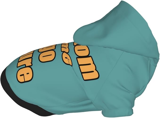 Custom Dog Hoodies for Small Dogs Costume Xmas Pajamas Outfit Pullover Winter - Image 9