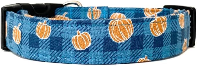 Pumpkin Patch Dog Collar by Collars+by+Design