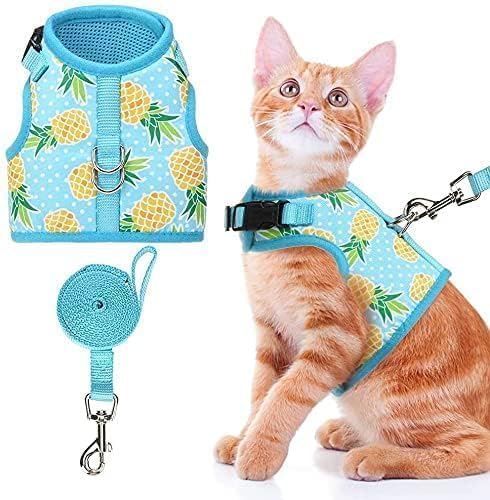 BINGPET Cat Harness - Image 2