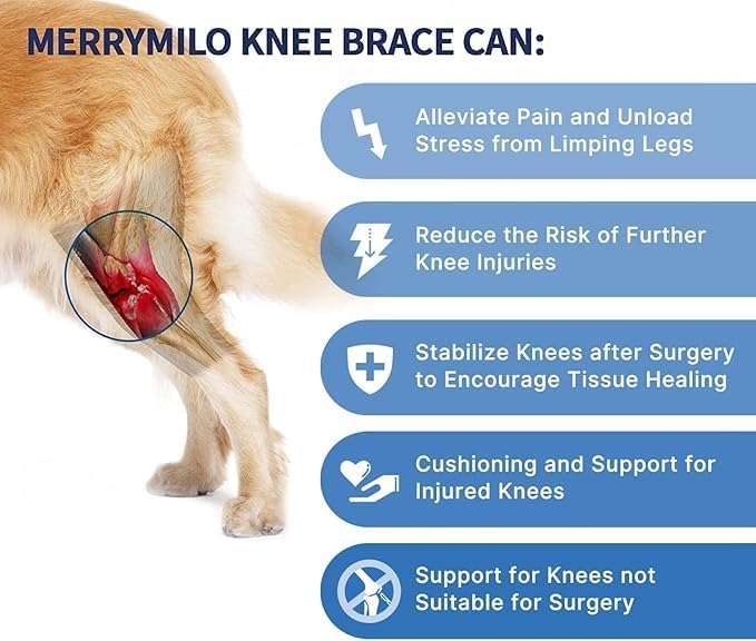 Dog Knee Brace for Hind & Rear Legs – Canine Leg Support for ACL, and Cruciate - Image 2